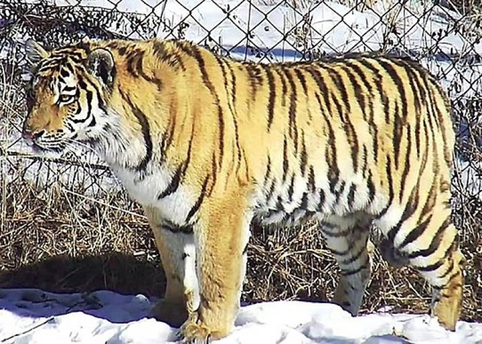 �����˲������µƹ⣬�಻������Ľ�����