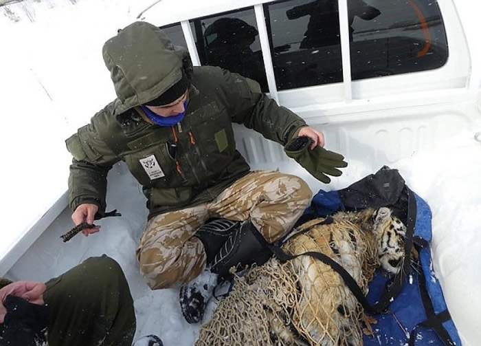 ����Ա�����²������˺��漴���������������ġ�