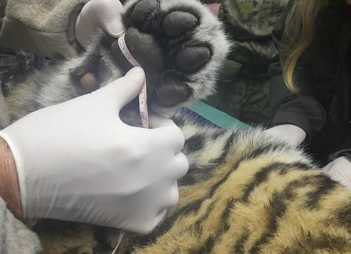 ר�����ȿ����˵�צ�ӡ�