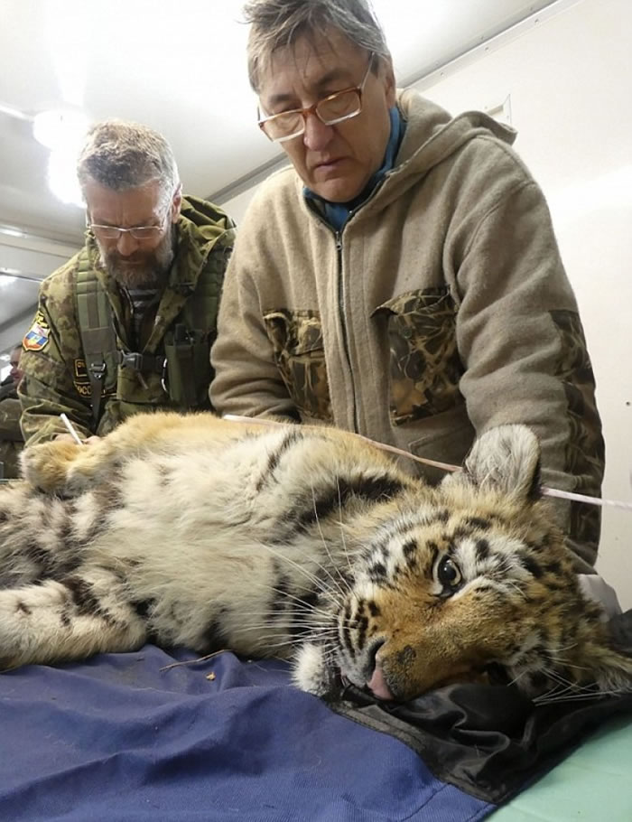 ��������ϰҰ�⻷�������͹����Ȼ��