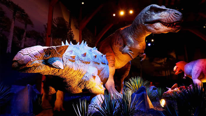 �о���Ա���ִ󲿷ּ�����ʯ�����Ľų��������