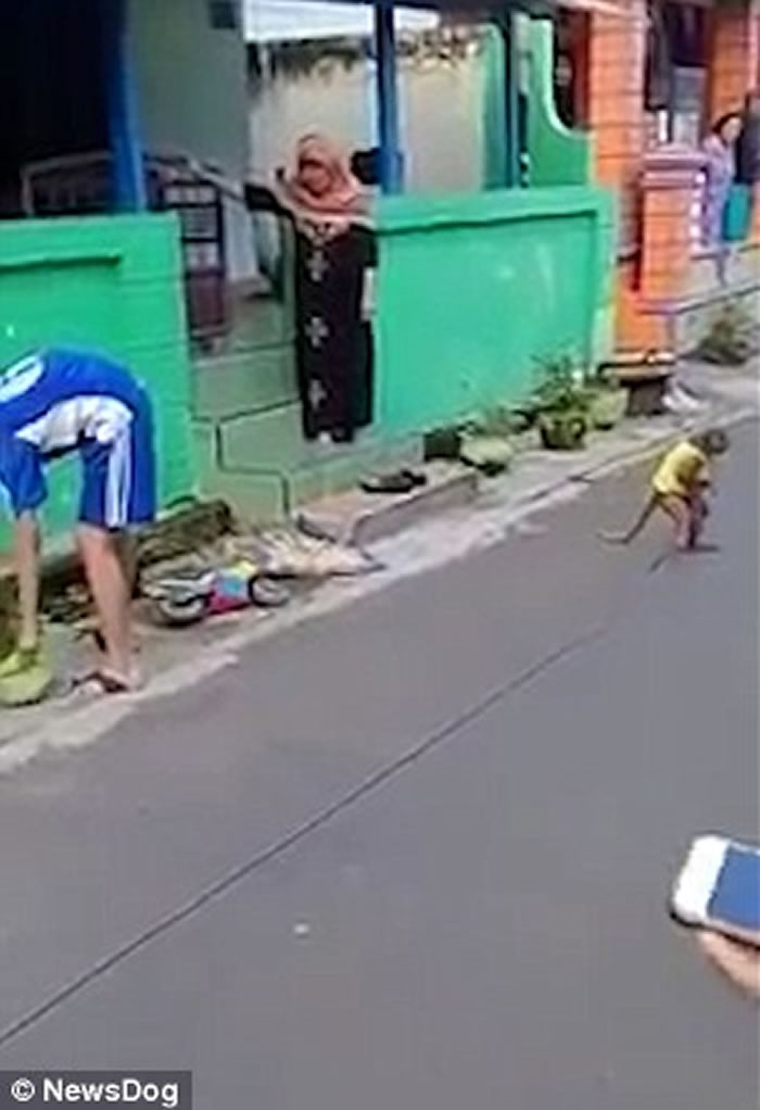 印尼东爪哇卖艺猴子驾驶超小型摩托车撞飞男童