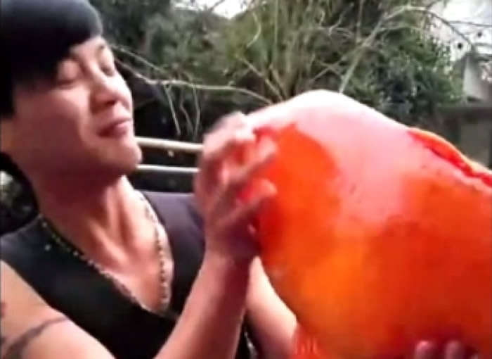 目前该条锦鲤已被放生。