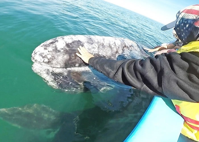 ���ԻҾ����еظ���ˮ�棬����������к���