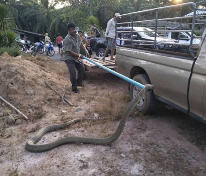 ̩�����������԰��èͷӥ�Լ��� ȴ����4.1�׳��۾�����