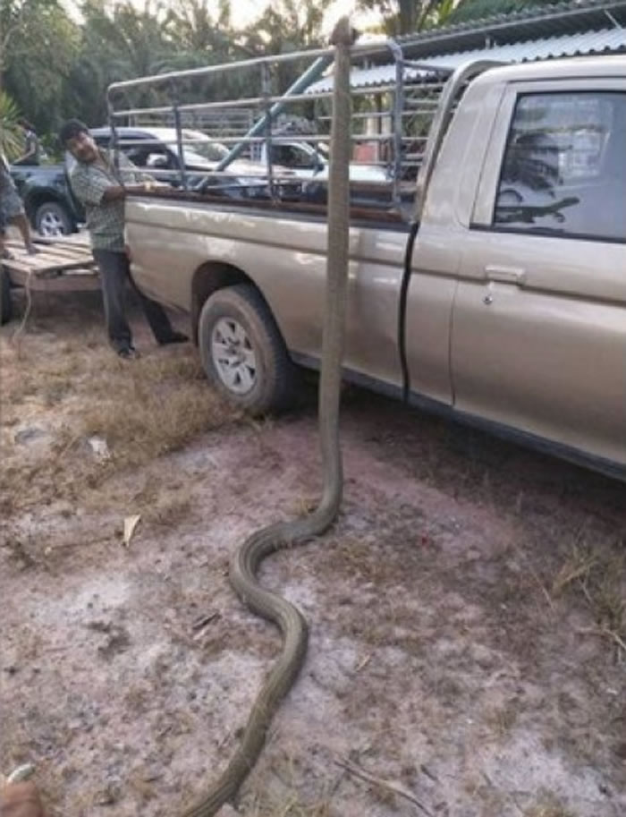 ̩�����������԰��èͷӥ�Լ��� ȴ����4.1�׳��۾�����