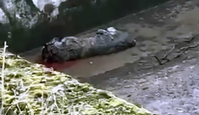 ����˹�������ǻ�������籾��������԰ִ�д��ڽӴ����� ȴ��ĸ��ҧ��