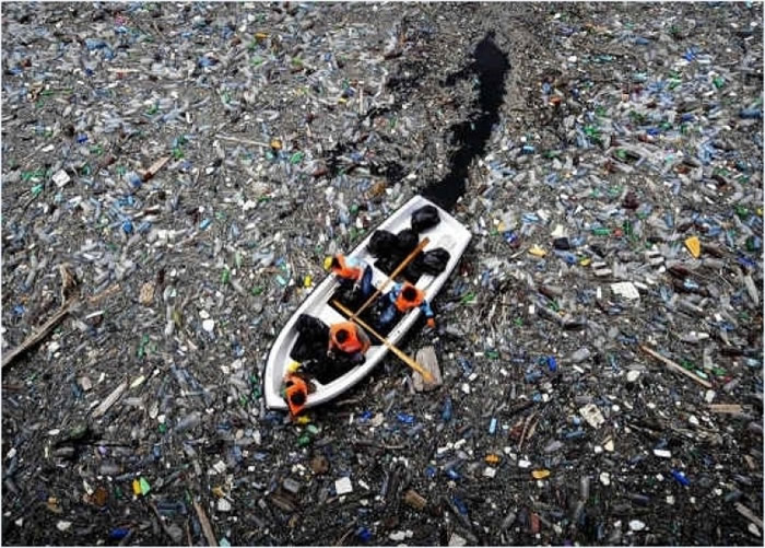 ̫ƽGreat Pacific Garbage Patch