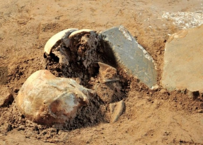 �ܲٸ��귢��һ����Ů�ź� ����һ�ߡ�����ȷ�Ͼ��ǲܲ١�