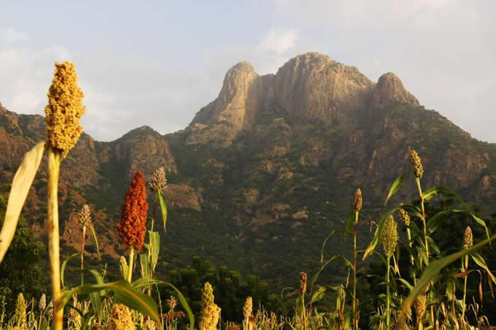 ŷ޵ļ̵ܳڲвĸɽGuera Mountainsֳ PHOTOGRAPH BY GERARD TALAVERA, NATION