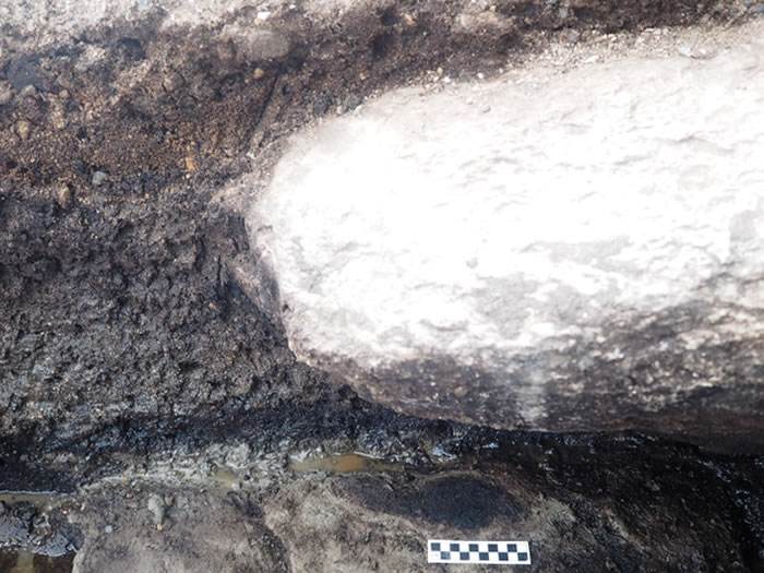 加拿大发现1.3万年前古人类足迹化石 可能是北美最古老的人类足迹