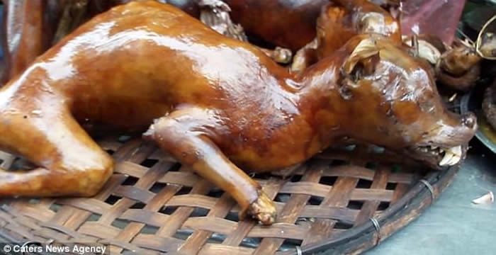 越南整车狗送赴屠宰 深信“死前吓一吓肉质更佳”