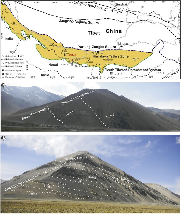 ����ϲ������-����˹�����衪ʯ̿ϵ���ɵز����漰�����λ��