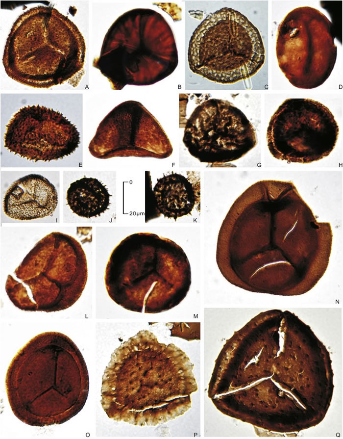 �����������߷�����