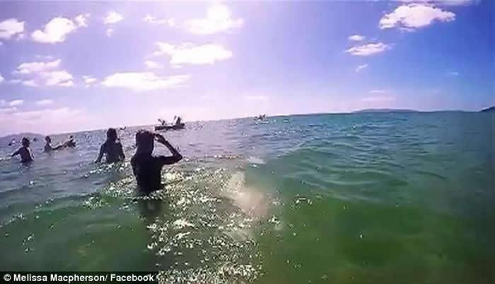 ��������̲������Ⱥ���� Ӿ��������ˮͬ����