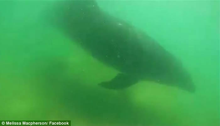 ��������̲������Ⱥ���� Ӿ��������ˮͬ����