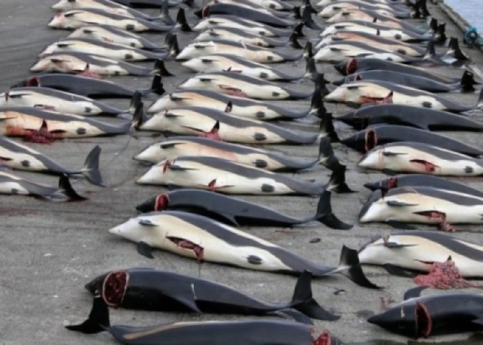 �ձ�ÿ����ɱ�������㡣������ͼƬ��