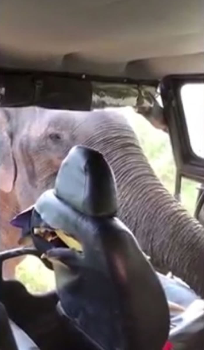 ��������뼪�ճ���ʳ������ø���ʻ�����ӡ�