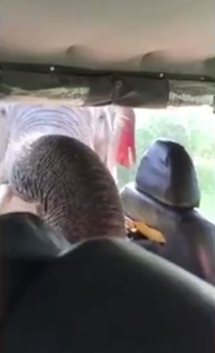 ����ת������뼪�ճ�������