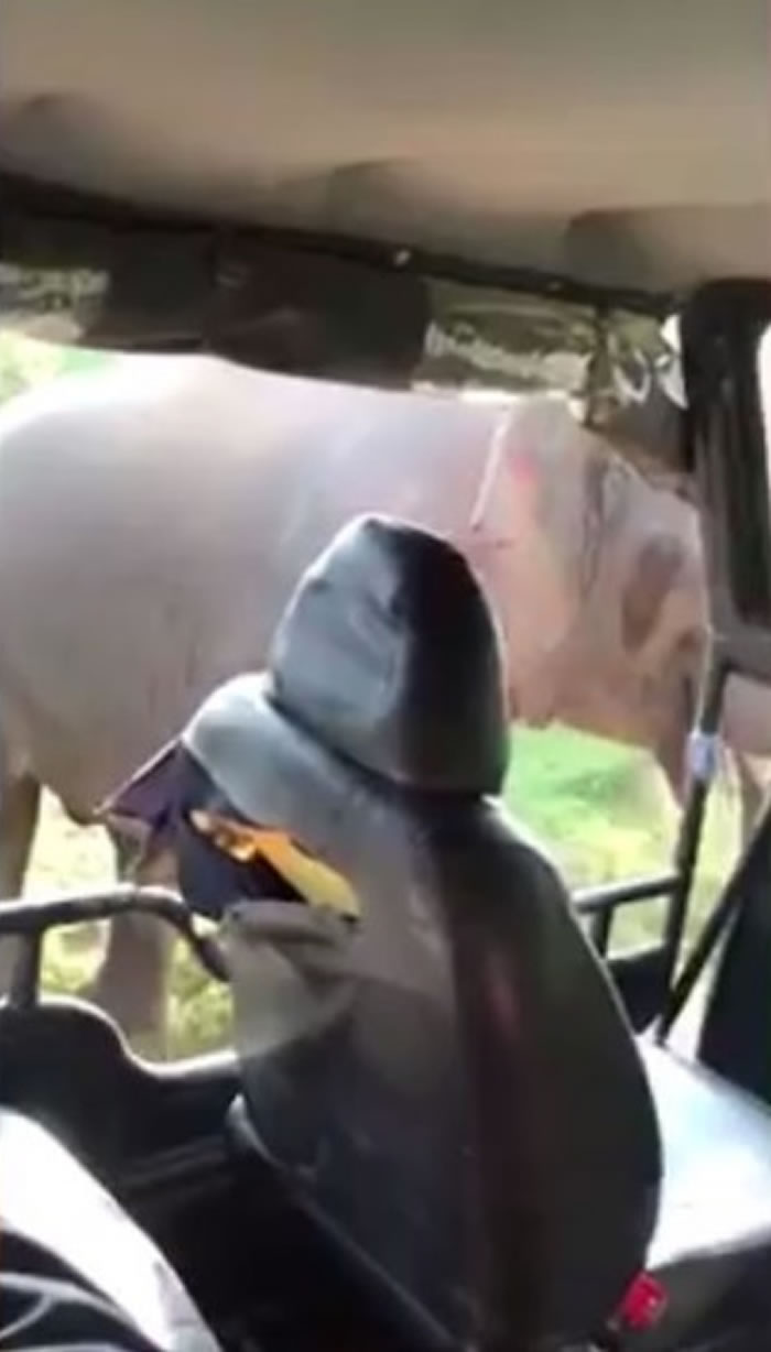 ˾���ô�����Ҳ���ʳ�����ʱ�����������˺���ȥ��