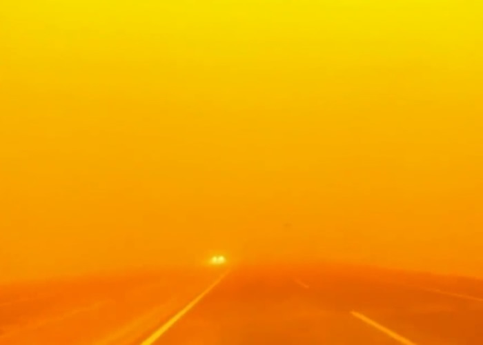 �ֲ�������ɳ����Ϯ���ɹ� ��մ��Ⱦ�ɳȺ�