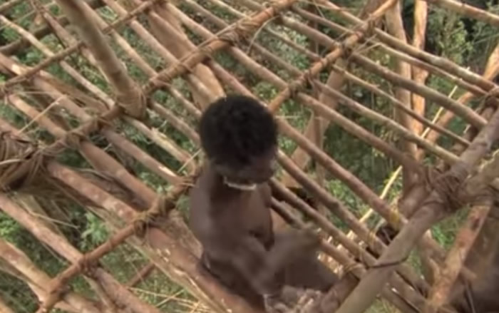 ��Ŀ����ԭס��������˵����