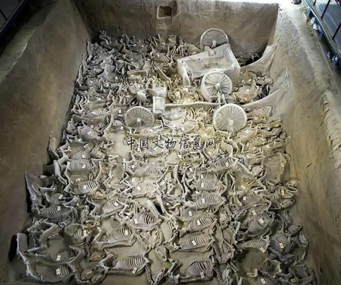 ������֣֣�����ų�����ȫ��