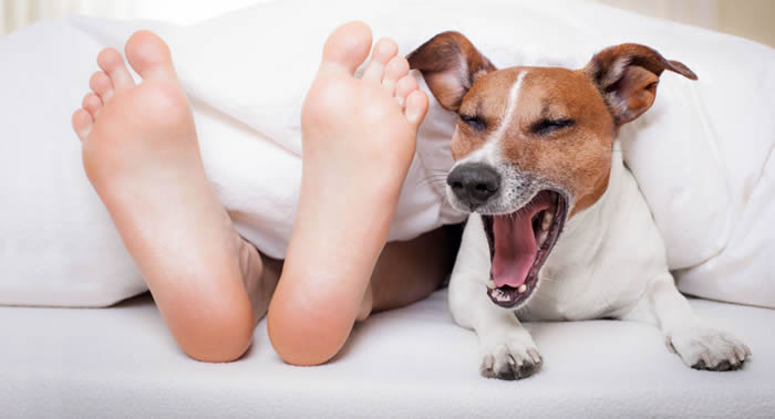 ��ÿ�տ�ѧ����ϲ��ҹ�����ʽ���˱Ȱ���������������ո���