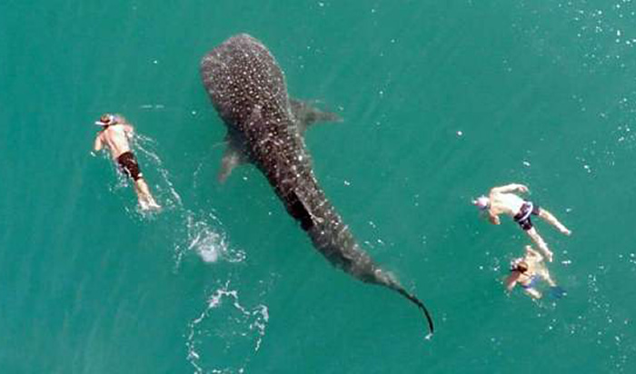 ī�������¼����������ݺ������;��躱��������ͬ��