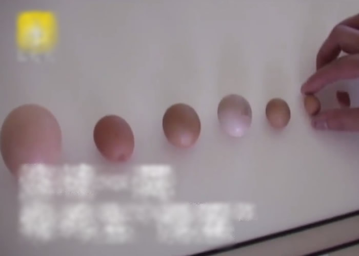 �Ĵ�ʡ��ɽ�мн���һֻĸ������Խ��ԽС Ů���ˣ�������ôС�ĵ��Ͱ���ɱ������