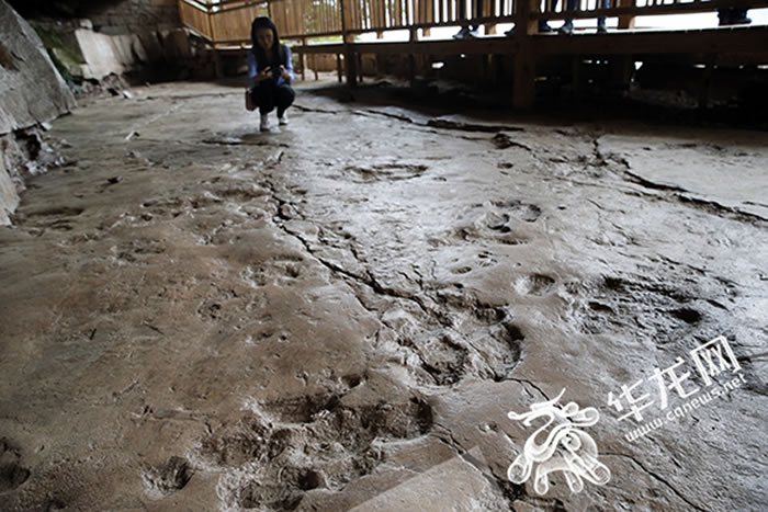 重庆綦江国家地质公园即将正式开园:可看恐龙化石丹霞地貌