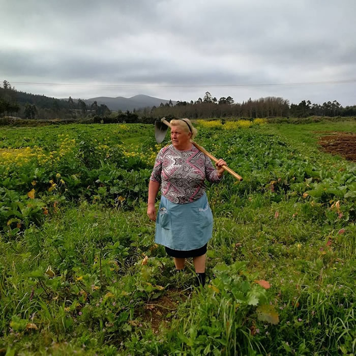 ֡ʧɢá˿˹Dolores Leis