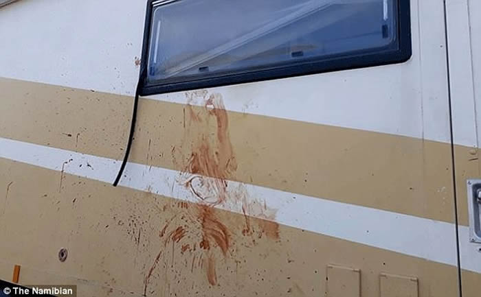 德国男子驾露营车游西非纳米比亚遭凶狠猎豹抓破头皮