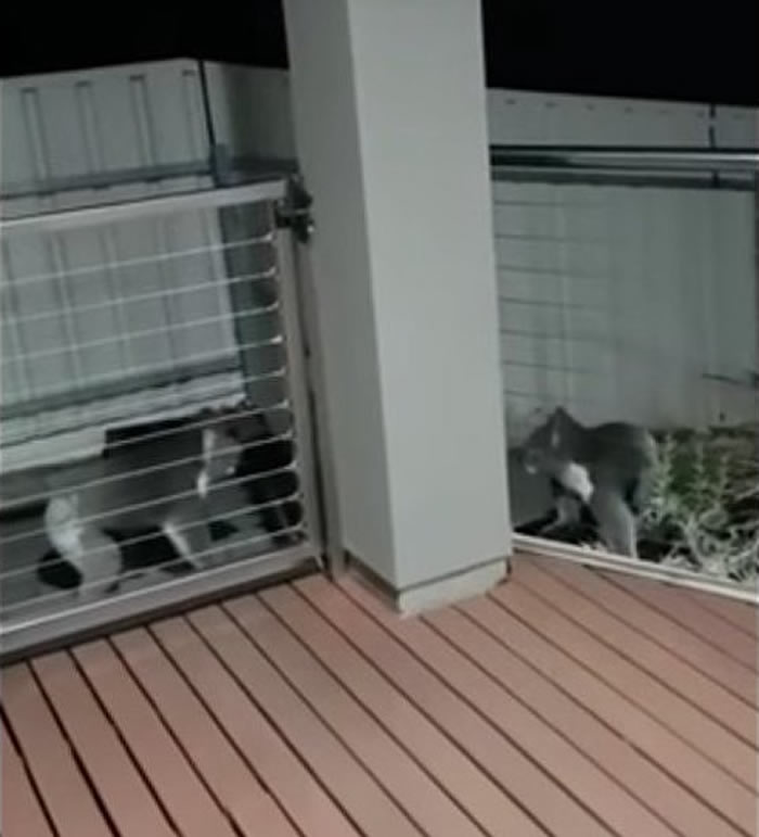 ��Ժ������������ ԭ���ǰ������ܴ��