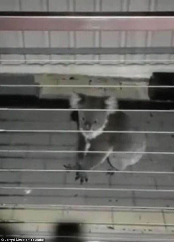 ��Ժ������������ ԭ���ǰ������ܴ��