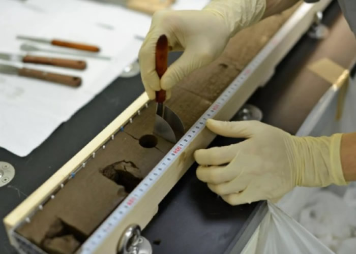 �о���Ա��ϸ�����ں����ɼ�������