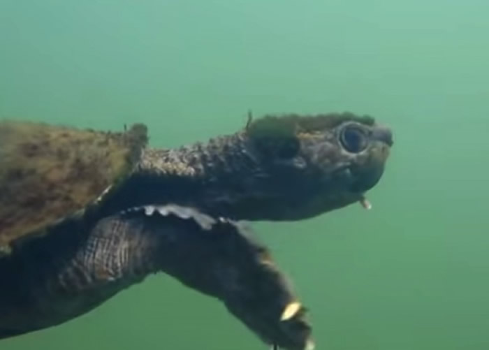 ����������پ��ֵ�����������