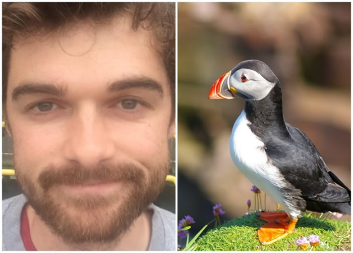 ��������ͼ����Ϊ���У���ͼ���ǽ�����ϵ�ө���������ԡ�