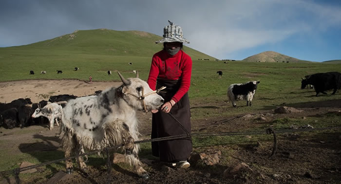 �̵�����Ȼѡ���з�������ͻ�����Ӧ���ӻ���������