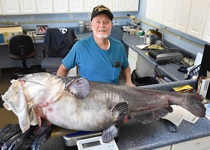 ������������������÷Ǵ�ͳ���������������� ����FWC����Ϊ�¼�¼