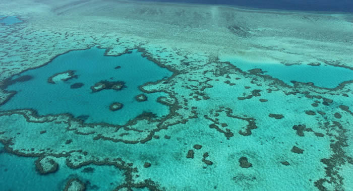 澳大利亚政府将拨款5亿美元保护大堡礁免受气候变化和污染影响