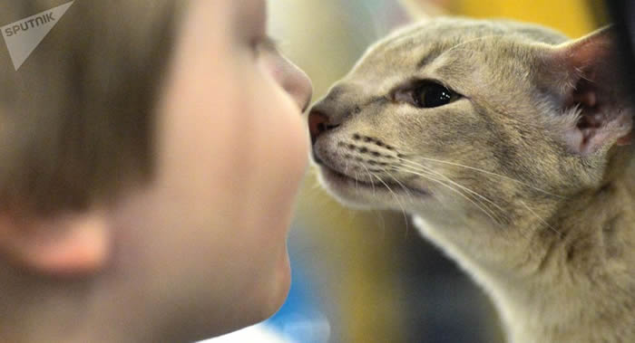 《美国科学院院刊》:养宠物意想不到的好处