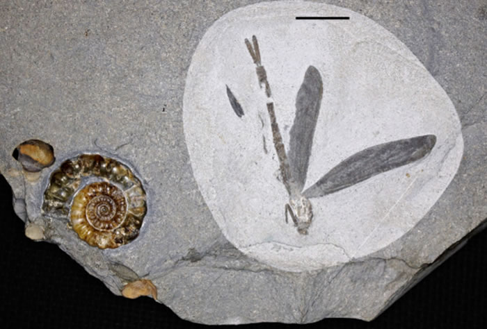 Ӣ�������ؿ���ʯ���˷���������ǰ���������ѻ�ʯ ������������