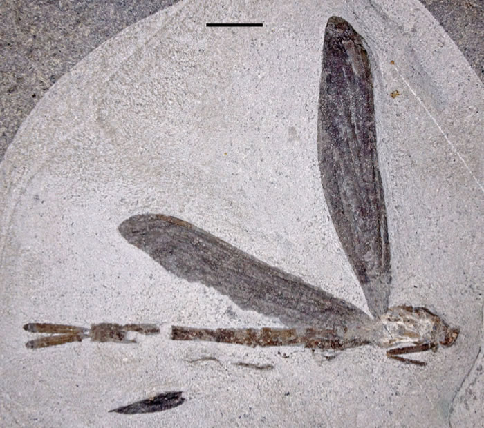 Ӣ�������ؿ���ʯ���˷���������ǰ���������ѻ�ʯ ������������