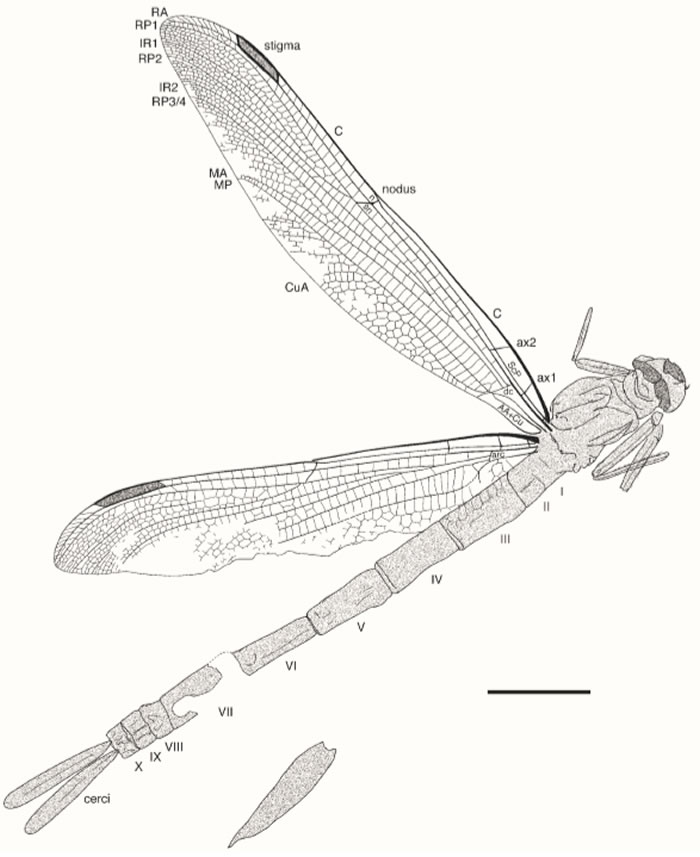 Ӣ�������ؿ���ʯ���˷���������ǰ���������ѻ�ʯ ������������