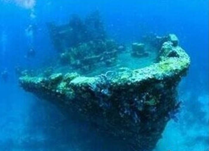 ���Ϻ�һ�š���û�ڹ㶫�������Ϻ�����