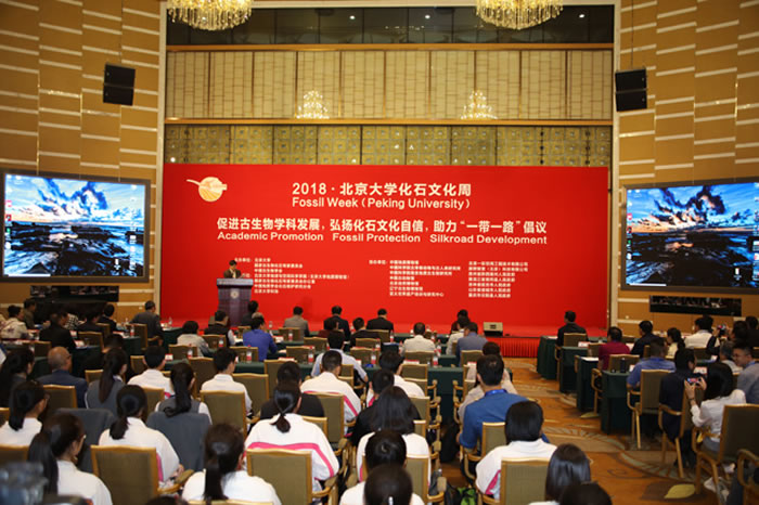 2018ѧʯĻܡĻʽڱѧӢܽľ