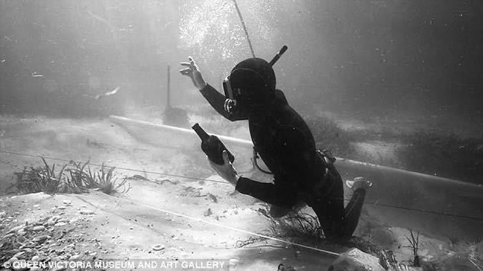 220年前随船沉没 全球最老“生还酒”重现人间