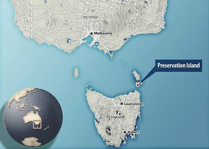 220年前随船沉没 全球最老“生还酒”重现人间