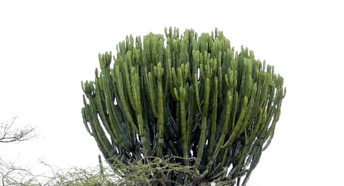 �����ϸ���Ħ��类�������Ĵ��Ͷ���ֲ���̨��ꪡ�����